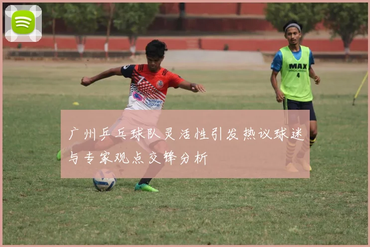 广州乒乓球队灵活性引发热议球迷与专家观点交锋分析