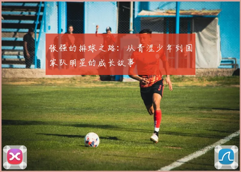 张强的排球之路：从青涩少年到国家队明星的成长故事