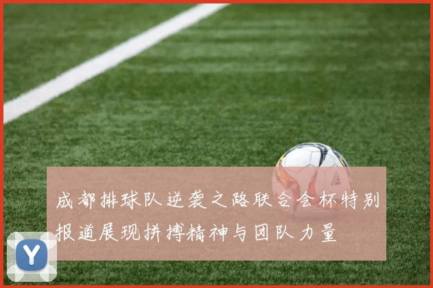 成都排球队逆袭之路联合会杯特别报道展现拼搏精神与团队力量