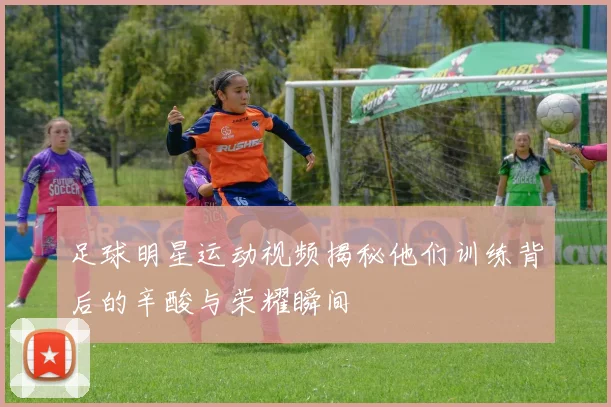 足球明星运动视频揭秘他们训练背后的辛酸与荣耀瞬间
