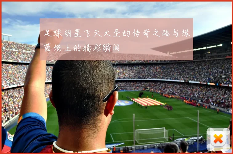 足球明星飞天大圣的传奇之路与绿茵场上的精彩瞬间