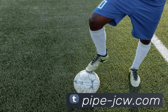 竞彩网平台生态图